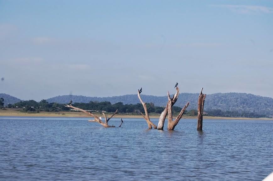 The Peepal Tree, Kabini Begūr エクステリア 写真