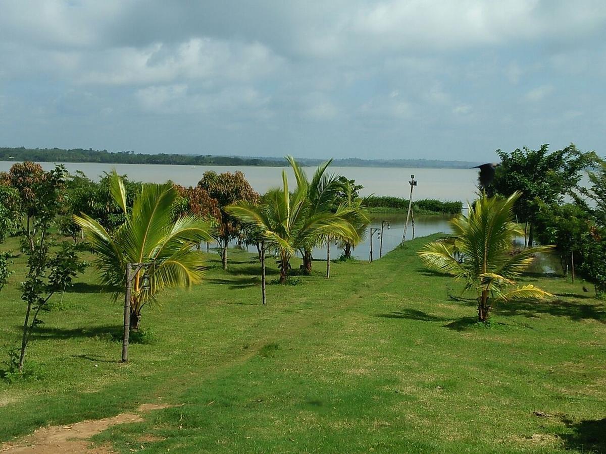 The Peepal Tree, Kabini Begūr エクステリア 写真